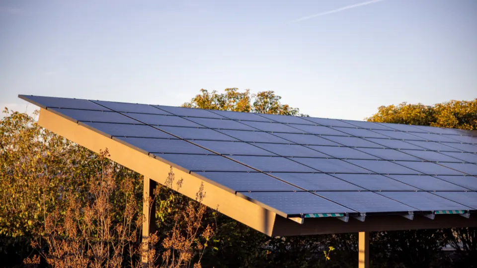 Paneles solares al atardecer